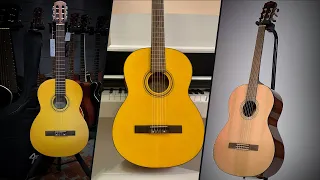 Best Fender Nylon Guitar : Top 5 Classical Guitars from Fender