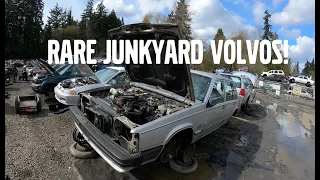 RARE JUNKYARD VOLVO FINDS