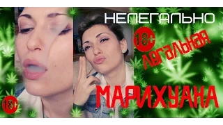 МАРИХУАНА.Нелегально-легальная марихуана.