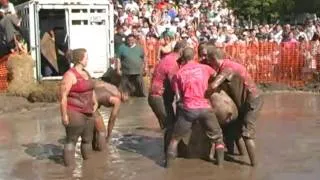 Pig Wrestling!