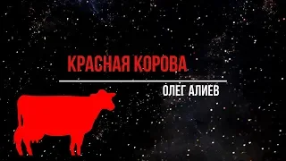 СРОЧНО!!! Зачем сбили ИЛ-20? Красная корова: Пришествие Машиаха или Апокалипсис