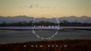 Timeless | Beautiful | New Age Chill Music 2024 Mix #newagechillmusic2024 #chilloutmusic2024