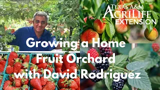 Growing a Home Fruit Orchard with David Rodriguez