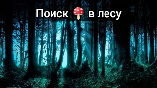 Как искать грибы, если их нет!