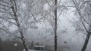 Зима вернулась в Крым! Красивый снег