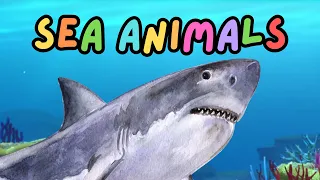 A - Z Sea Animals | Can you name the sea animals?