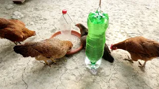 No tires a la basura las botellas plásticas usadas. Aprende a hacer un bebedero para aves fácilmente
