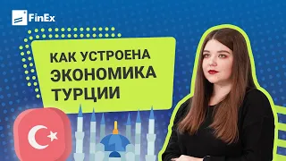 «Эрдоганомика»: как устроена экономика Турции