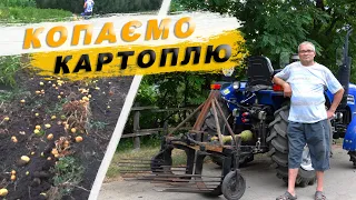 Копаємо картоплю мінітрактором. Перший збір картоплі в цьому році