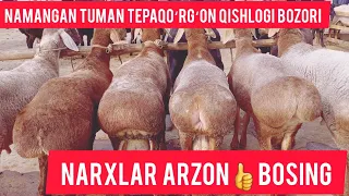 NAMANGAN TUMAN TEPAQO‘RG‘ON QISHLOG‘IDAGI QO‘Y BOZORI NARXLAR ARZON  LAYK BOSING OBUNA BOLING