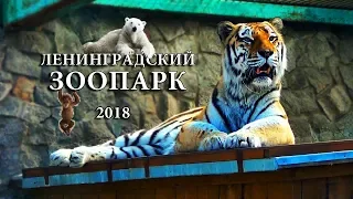 ЛЕНИНГРАДСКИЙ ЗООПАРК 2018