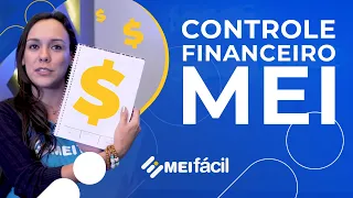 MEI: controle financeiro para o microempreendedor individual | MEI Fácil