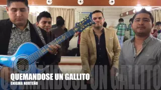 ENIGMA NORTEÑO / QUEMANDOSE UN GALLITO (El Rambo)