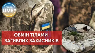 Відбувся обмін тілами загиблих військових між Україною та росією / Останні новини