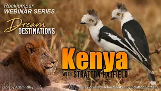 Kenya with Stratton Hatfield