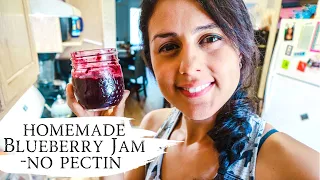 HOMEMADE Blueberry Jelly Recipe from Scratch