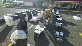 More Than 10 Tons of Cocaine Seized by Colombian Authorities