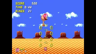 Sonic The Hedgehog 2 Pink Edition Sand Shower Zone 1 (Amy Rose)(with Cream & Cheese)