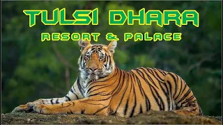 Tulsi Dhara Resort, Pench Tiger national Park, Karmajhiri Gate, Seoni Dist  (Madhya.Pradesh.)