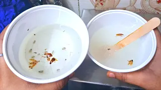 Vlog#1குட்டி கரப்பான் பூச்சி,கரப்பான்பூச்சி தொல்லையா ?Cockroaches kills tips&Tricks in Tamil/insects