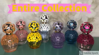 Daisy Dream Collection!! Reviewing & Ranking the Entire Line!! Should You Hunt Them Down?!