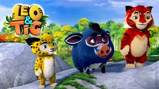 LEO and TIG 🦁 🐯 The Way Home — Episodes Collection 💚 Moolt Kids Toons Happy Bear