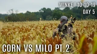 Winke Day 5: Corn vs Milo, The Deer Voted