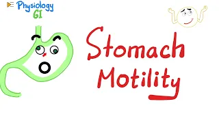 Gastric motility & Receptive relaxation | GI Physiology