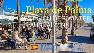 Playa de Palma🏖️💙MALLORCA island💙Playa de Palma im Winter bei 20°C🌞🇪🇸spain #mallorca #travel
