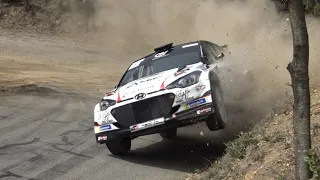 Rallye de Haute Provence 2024 - Crash / Mistakes