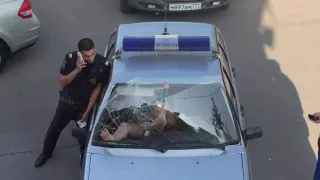 A woman breaks a police car windshield with her bare feet!