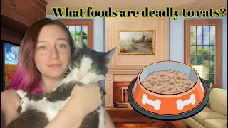 17 Foods Your Cat Should Never Eat