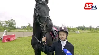 Юная наездница и конь Гурман из Череповца взяли серебро на всероссийских соревнованиях