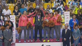 2016 WTTTC (WT-Final) China Vs Japan [HD1080p][Full Match/Chinese+Awards](+part of WT-SFs)