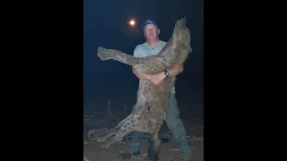 This is Africa / This is Africa five - Problem Hyena control
