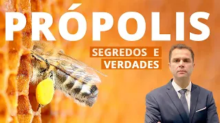 🐝🍯 PRÓPOLIS! Para que serve? Dr. Fernando Lemos - Planeta Intestino