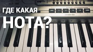 ГДЕ КАКАЯ НОТА?🤓