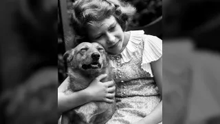 Platinum Jubilee - The Queen & Her Corgis