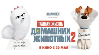 Мультфильм Тайная жизнь домашних животных 2 2019 в HD смотреть трейлер