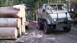 Mercedes-Benz UNIMOG in forestry: Unimog U 411 with FARMI winch moving timber