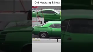 Old mustang Vs new mustang Drag Race🔥#mustanggt #fordmustang #dragrace