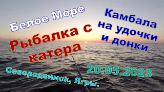 Камбала на удочки и донки с катера. Белое море. Ягры, Северодвинск. 20.05.2023.