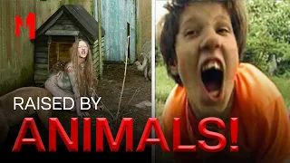 Feral Children – 10 Kids Who Were Raised By Animals