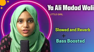 Ya Ali Madad Wali (Girl Version) || Slowed Reverb || Bass Boosted || Lofi Song