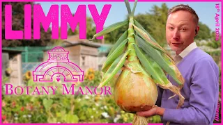 LIMMY Twitch | Botany Manor (FINAL) [2024-04-18]