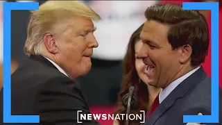 Polls increasingly not looking strong for Trump against DeSantis in 2024  |  Dan Abrams Live