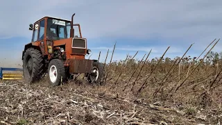 САМОДЕЛЬНЫЙ КАТОК - ИЗМЕЛЬЧИТЕЛЬ ПО ПАЛКЕ ПОДСОЛНЕЧНИКА. ЮМЗ-6.