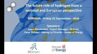 The future role of hydrogen from a national and European perspective