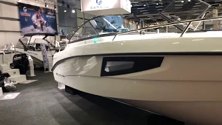 AMT 210 DC - New Daycruiser 2019