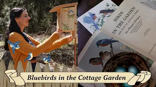 Cottage Garden Spring Cleanup 🐦 Creating a Wildlife Friendly Backyard🪺